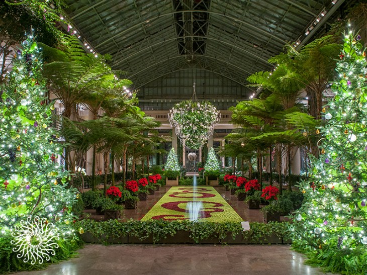 Wallpaper_XMS_800x600